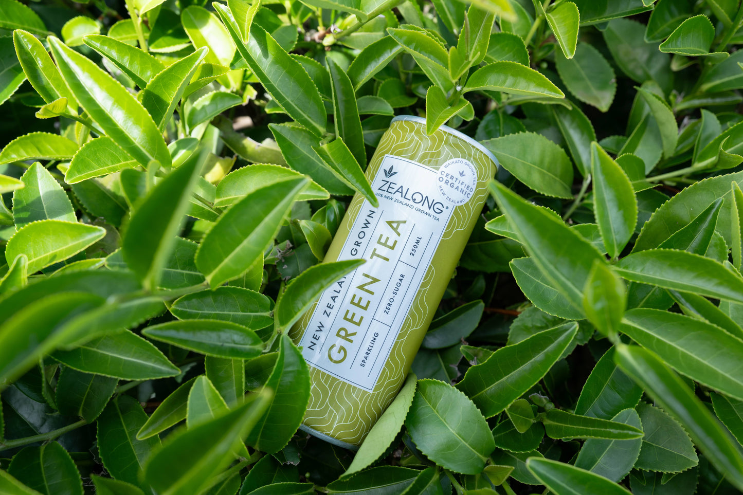 Zealong Sparkling Tea