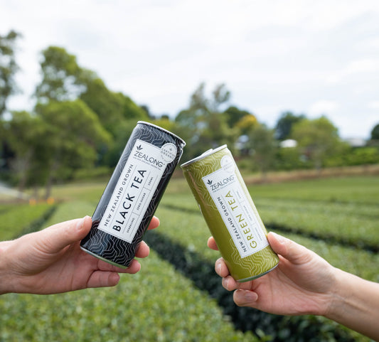 Zealong Sparkling Tea